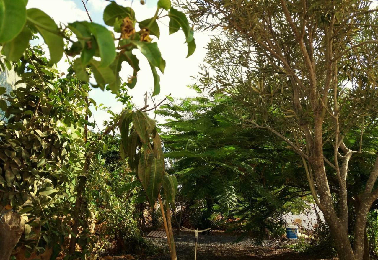 אנטיגואה Casita Rural Molino De La Corte מראה חיצוני תמונה